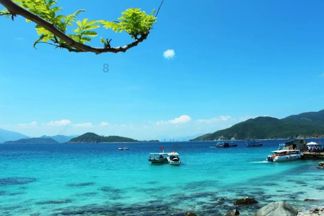 盘活资源 推动竹旅文体康产业提质腾飞